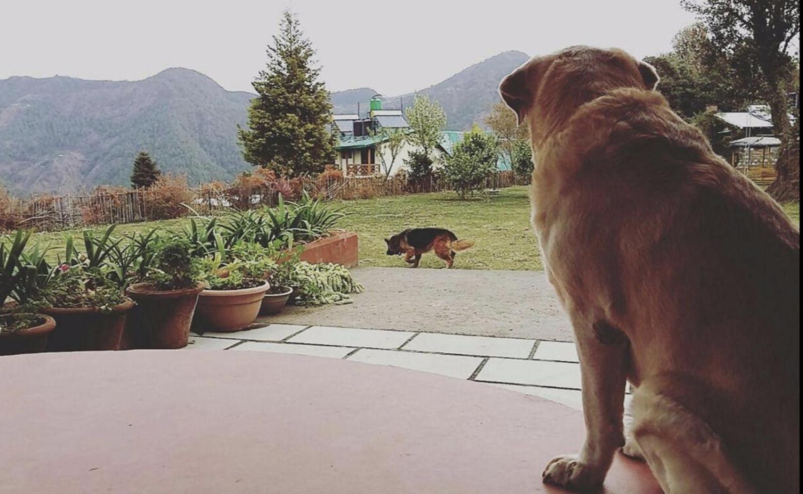 Emerald Trail Bhīm Tāl Dış mekan fotoğraf