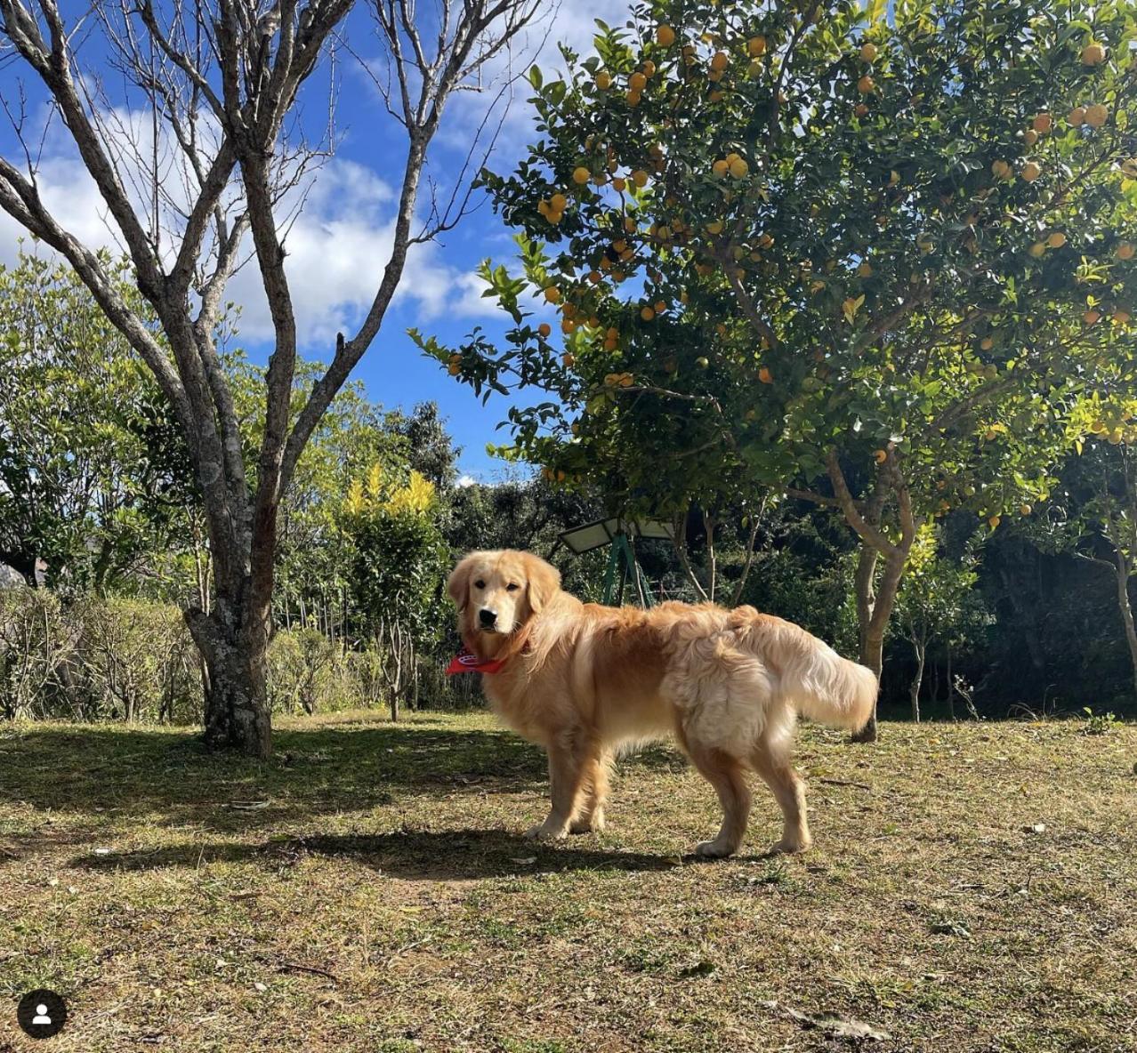 Emerald Trail Bhīm Tāl Dış mekan fotoğraf